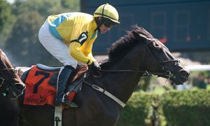DemonstrativeTurfWriters