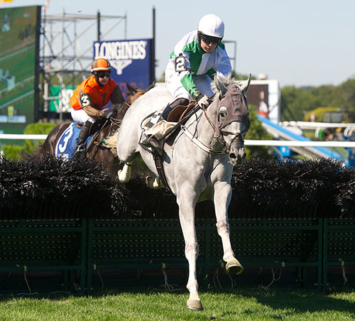 Hardrock Eleven touches down over a fence early in his Entenmann novice hurdle stakes win. Tod Marks photo