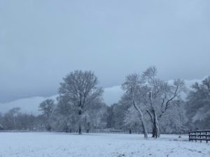 IMG_7439.jpg