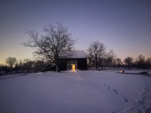 IMG_7443.jpg