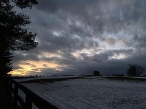IMG_7512.jpg