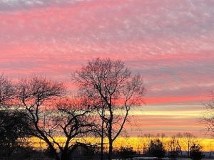 IMG_7585.jpg