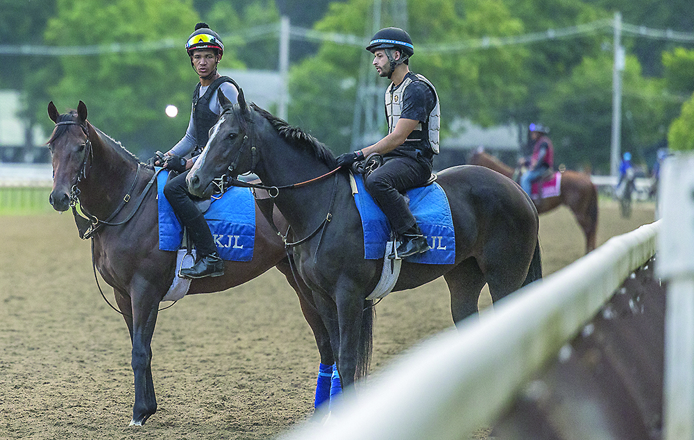 Two horses standing at the track rail in the morning at Saratoga.